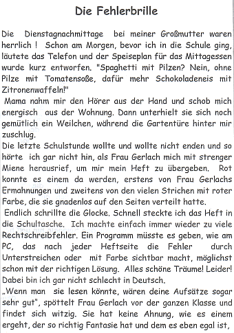 Beispiel Die Fehlerbrille Seite 1