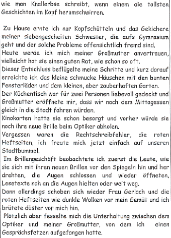 Beispiel Die Fehlerbrille Seite 2